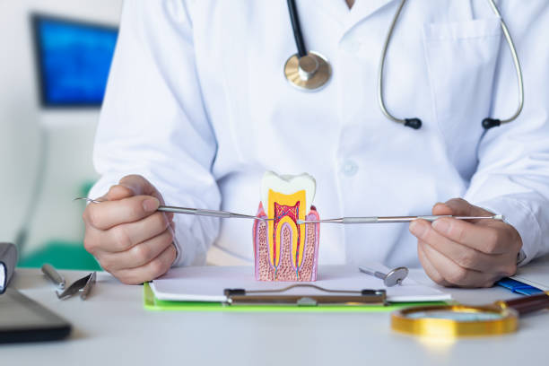 Best Emergency Dental Care for Trauma or Injury in Nappanee, IN